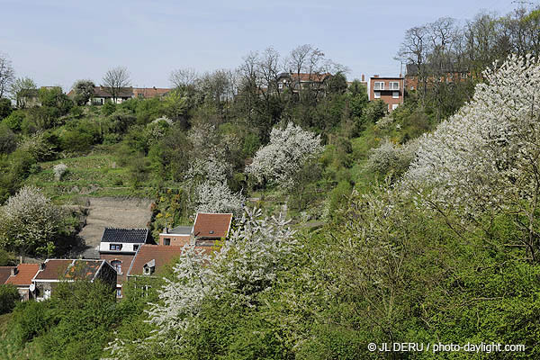 banlieue de Liège